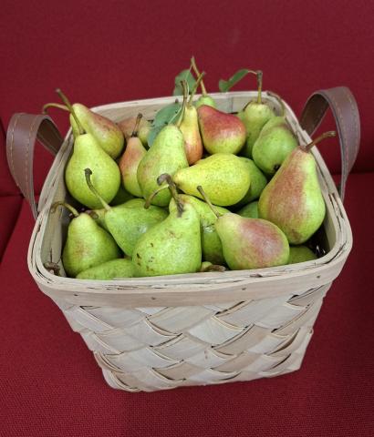 Päärynät